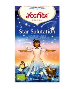 Star salutation - Infusion ayurvédique BIO, 17 sachets